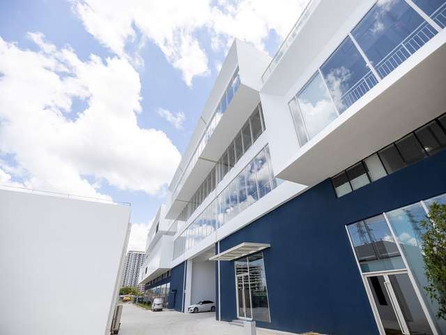 水培绿化树季节