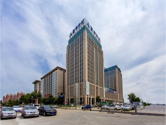 广东正规狗罐头加工工厂